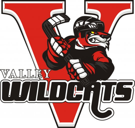 Valley Wildcats 2014 Unused Logo iron on transfers for T-shirts